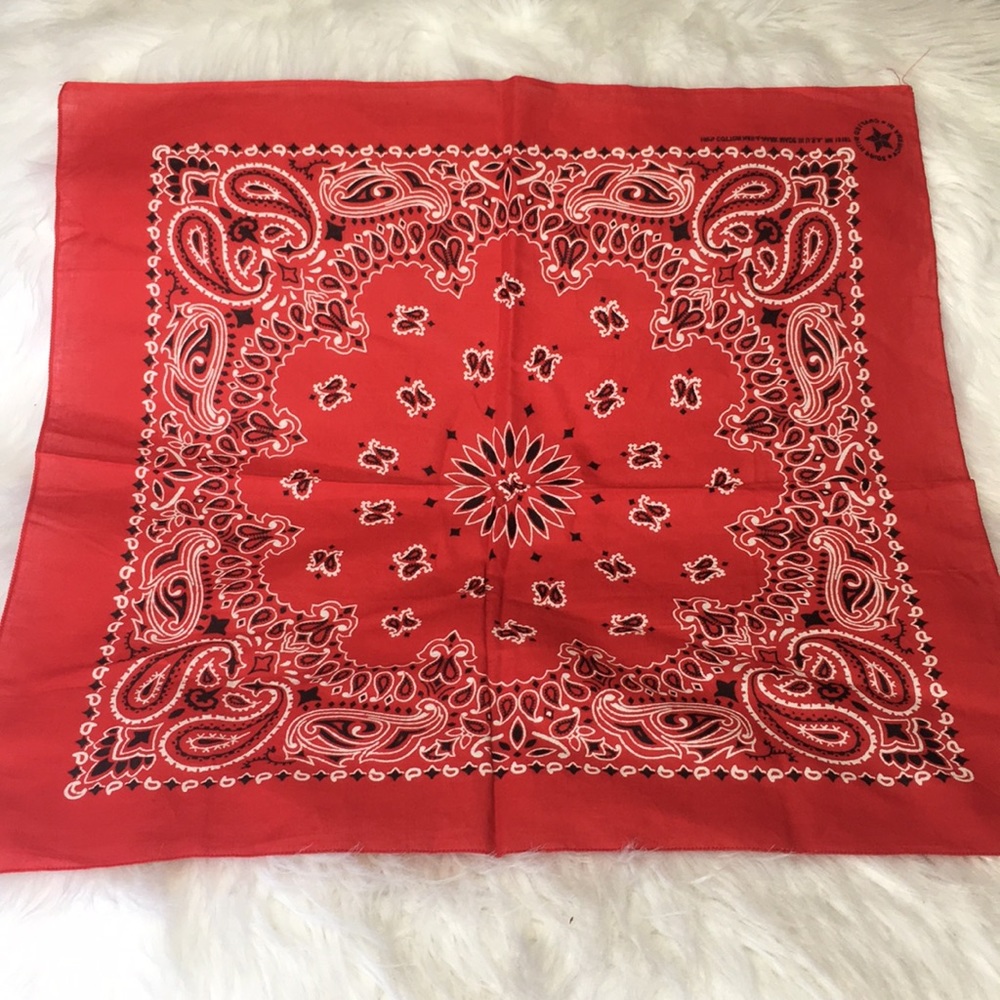 Vintage Red Paisley Print Bandanna